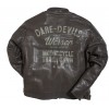 Motorcycle Leather Black Dare Devil Jacket